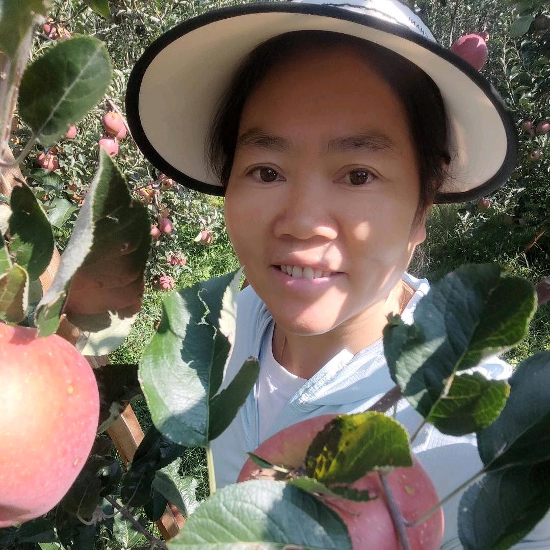 杨三姐卖昭通苹果土特产