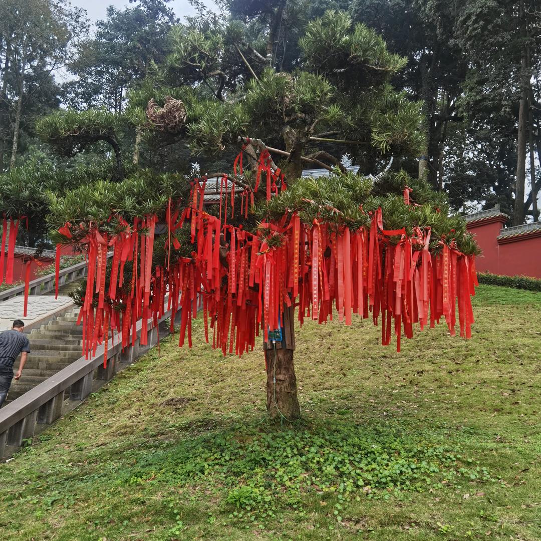 卫了生活去奋斗