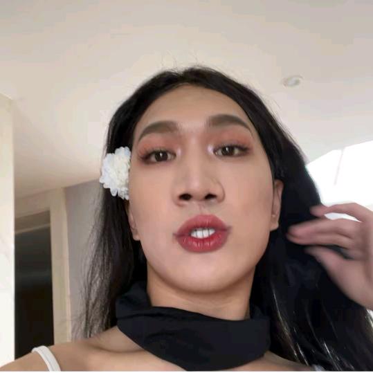 韩美娟不坑人