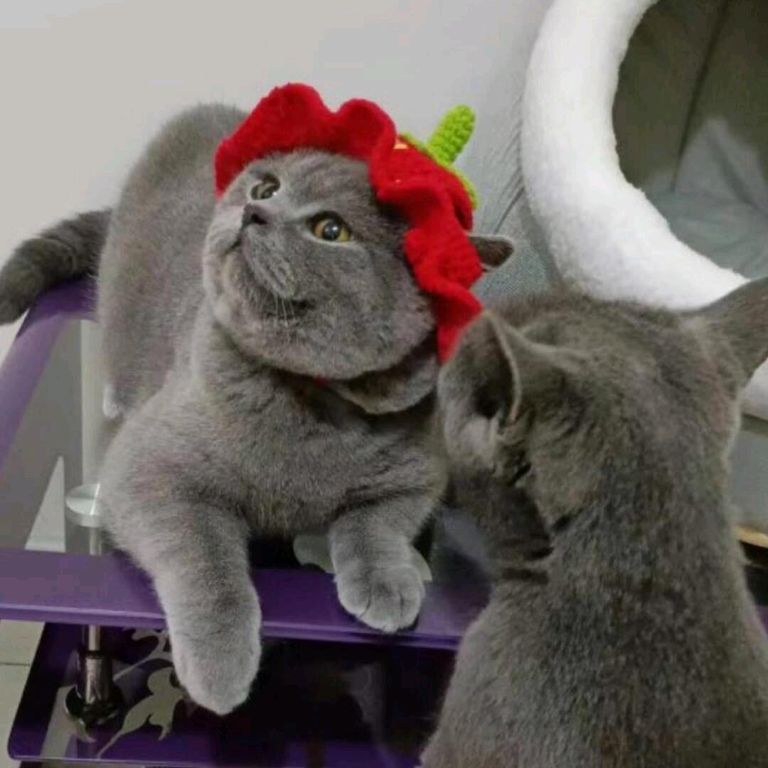 💋