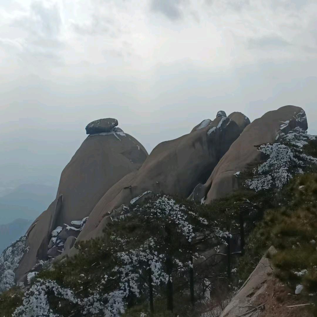 白驹过隙