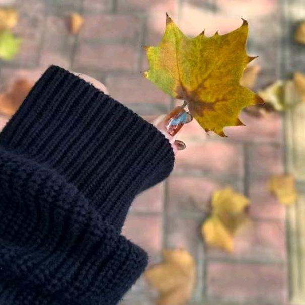 ᨳᥫᬊ۵🐇Betsy