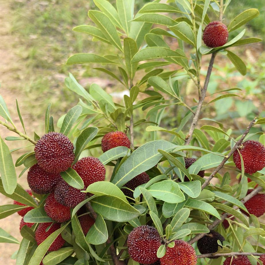 前世……………今生