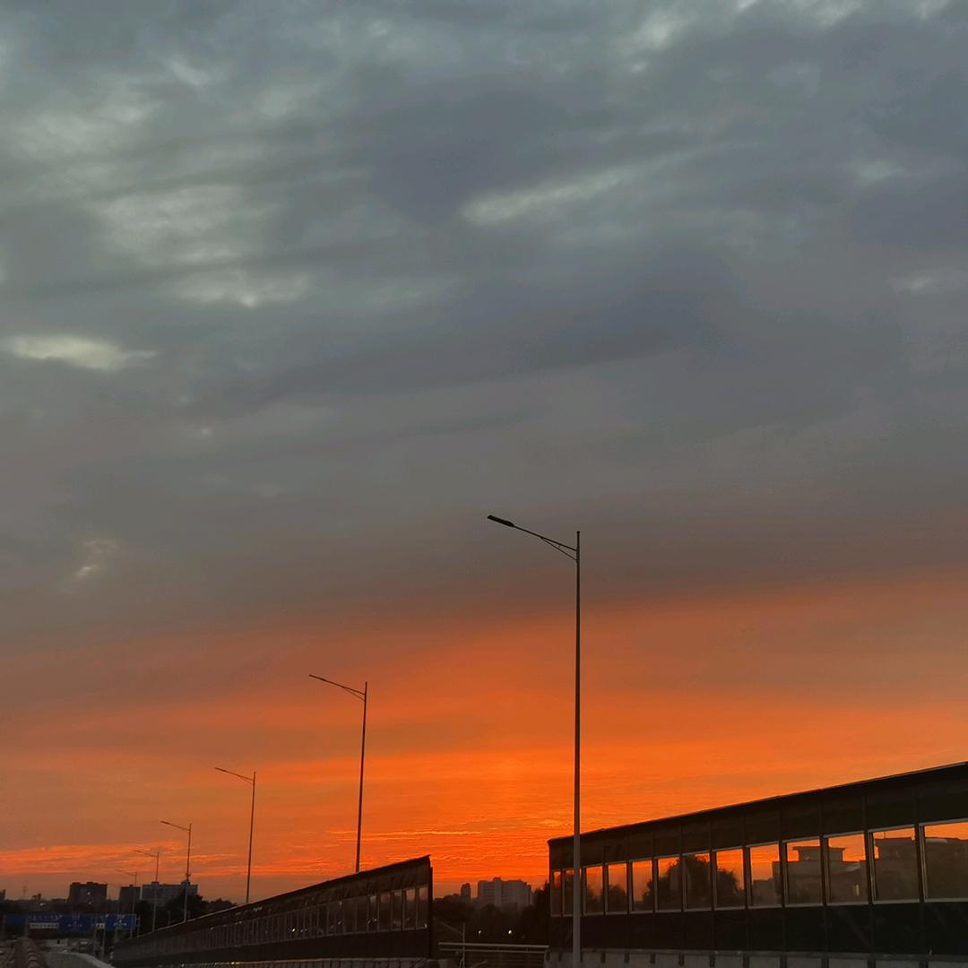 ……………………………………………………