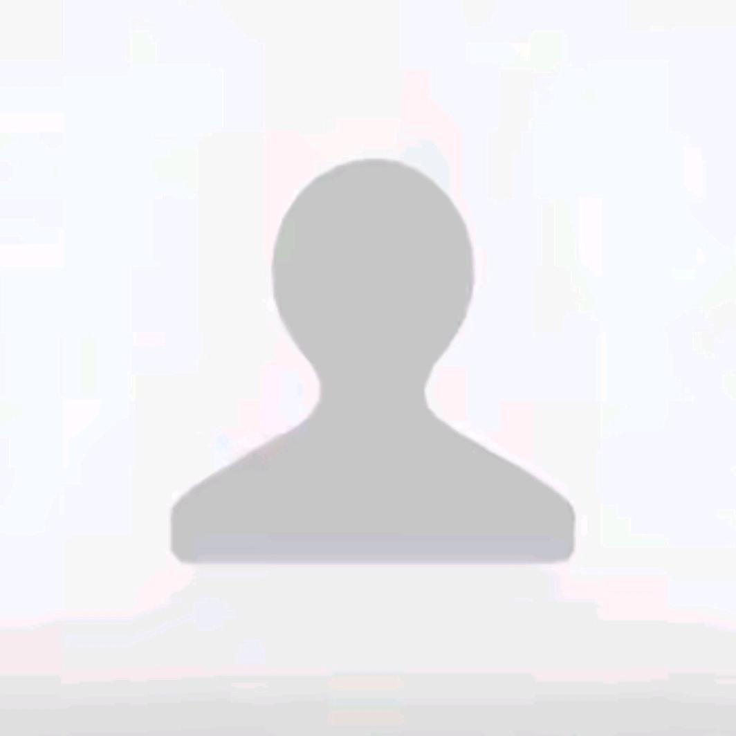 会飞的鱼（远）🐬