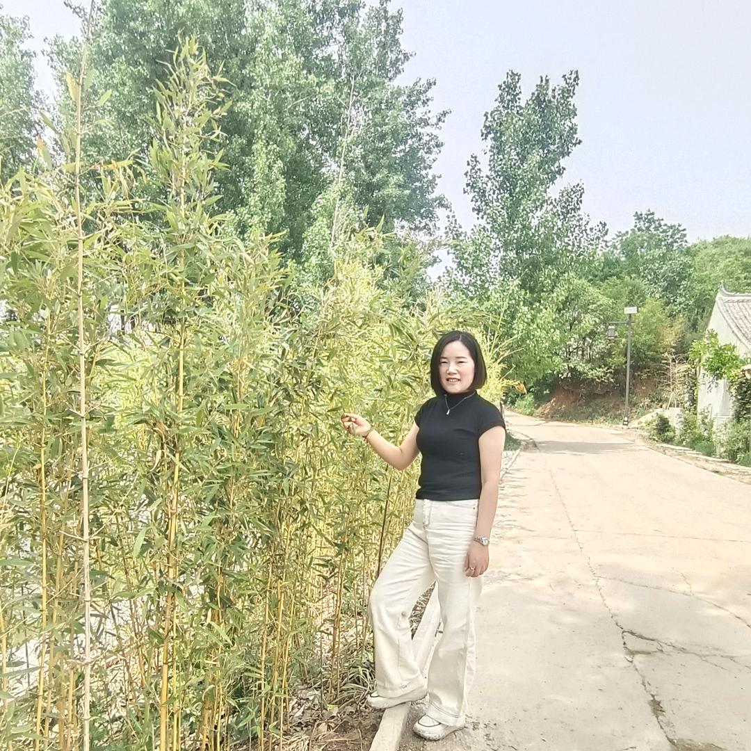 (✨ε橙子🍊)
