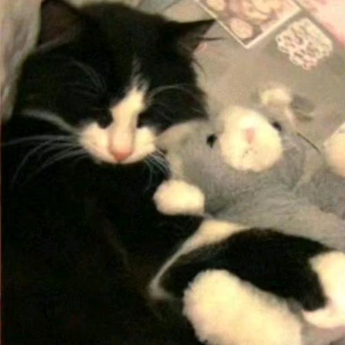 风会一直在你身边