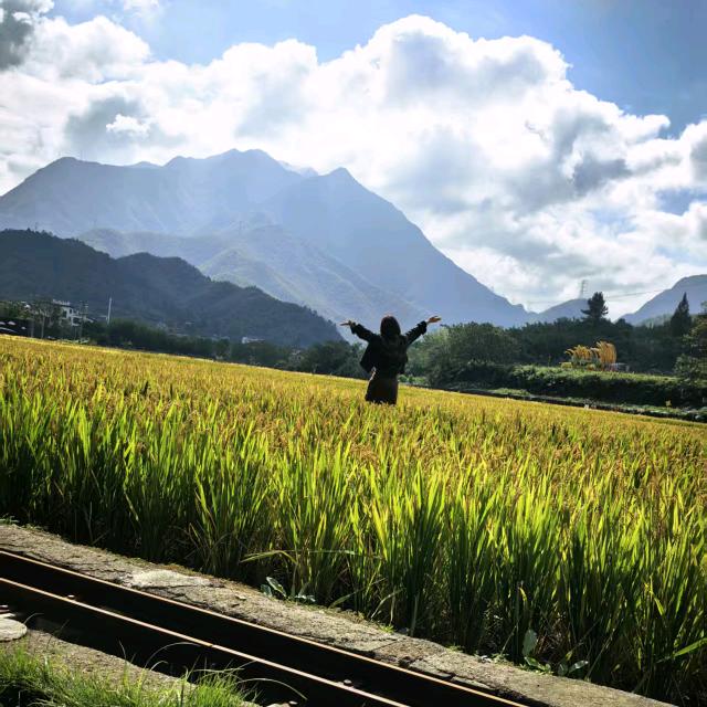 @初夏（好物分享）