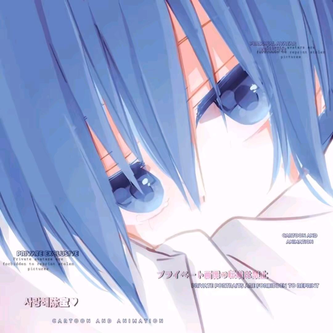 AAA.sw代画张总