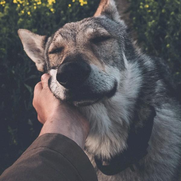 风好大✌(̿▀̿ ̿Ĺ̯̿̿▀̿ ̿