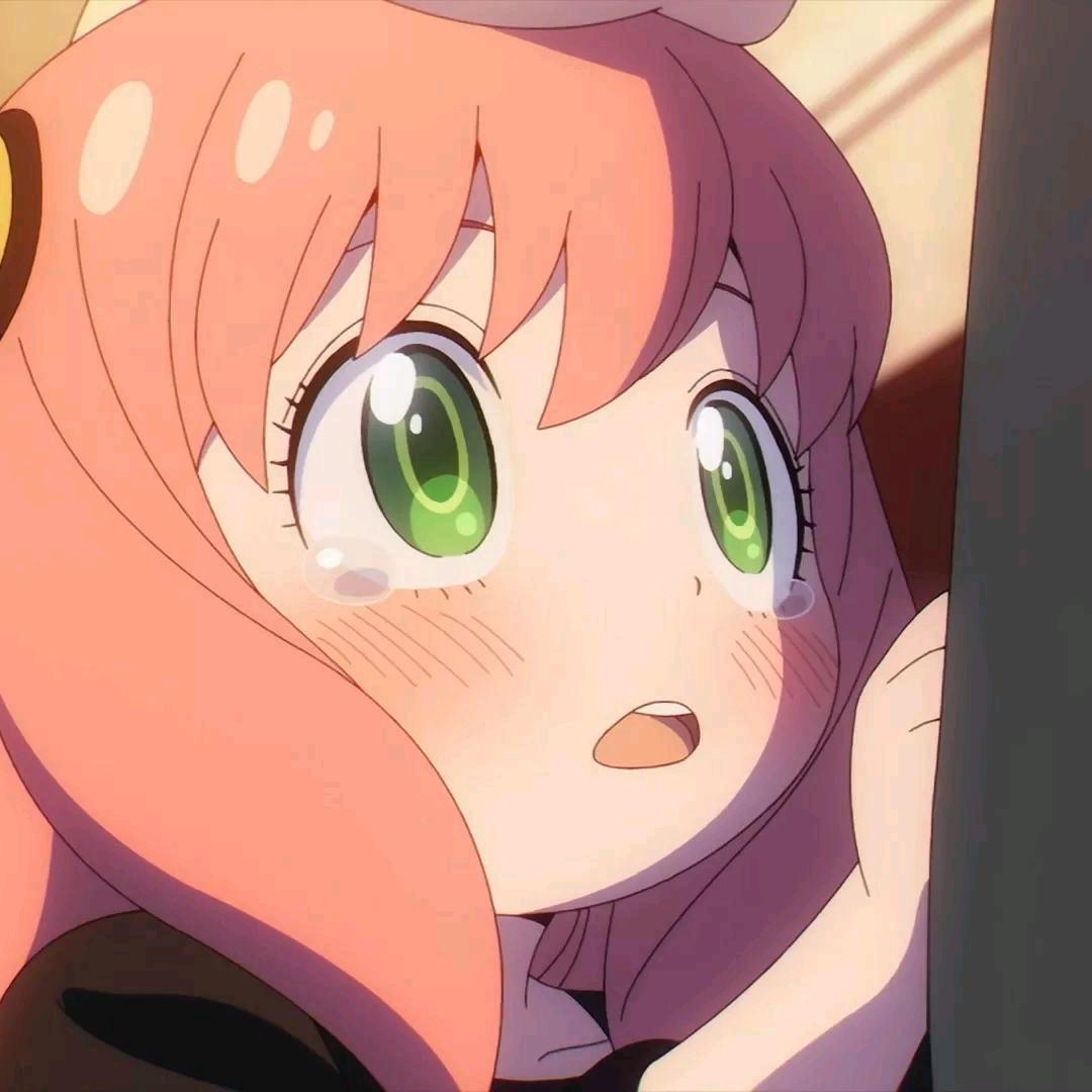 星光璀璨阿尼亚