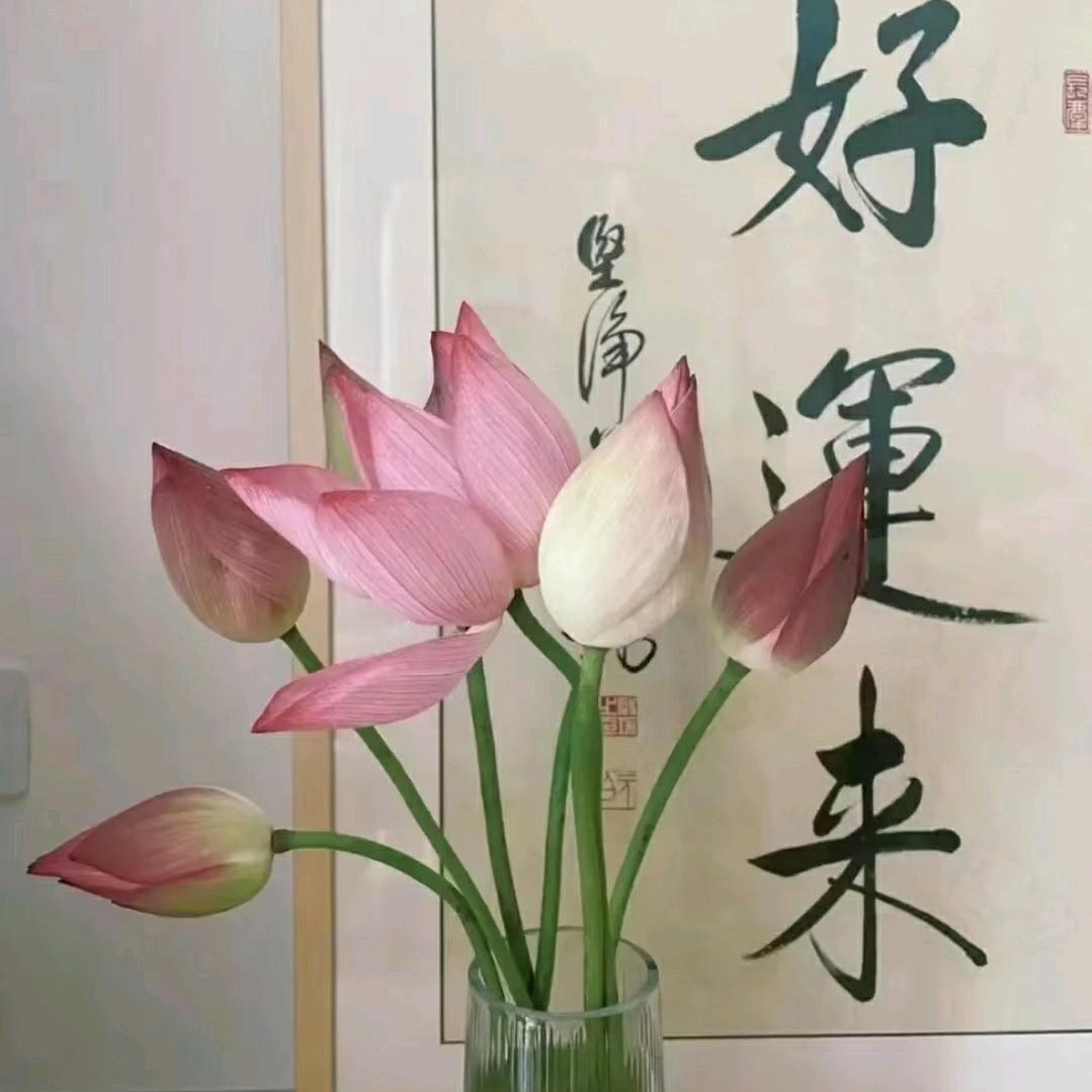 若涵优选