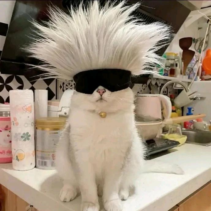 酷似王嘉尔的男大