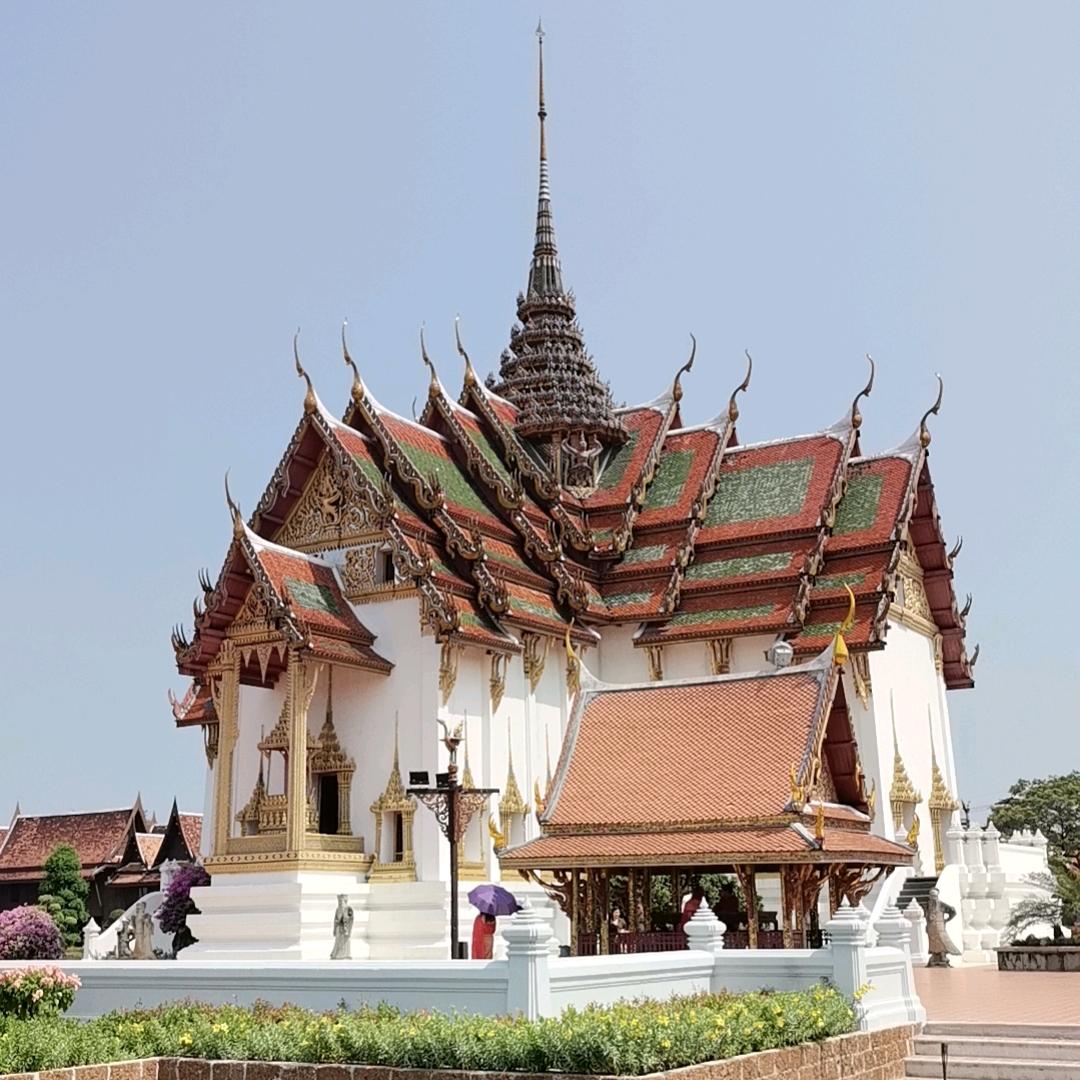 偷吃🐟🉐️🐱