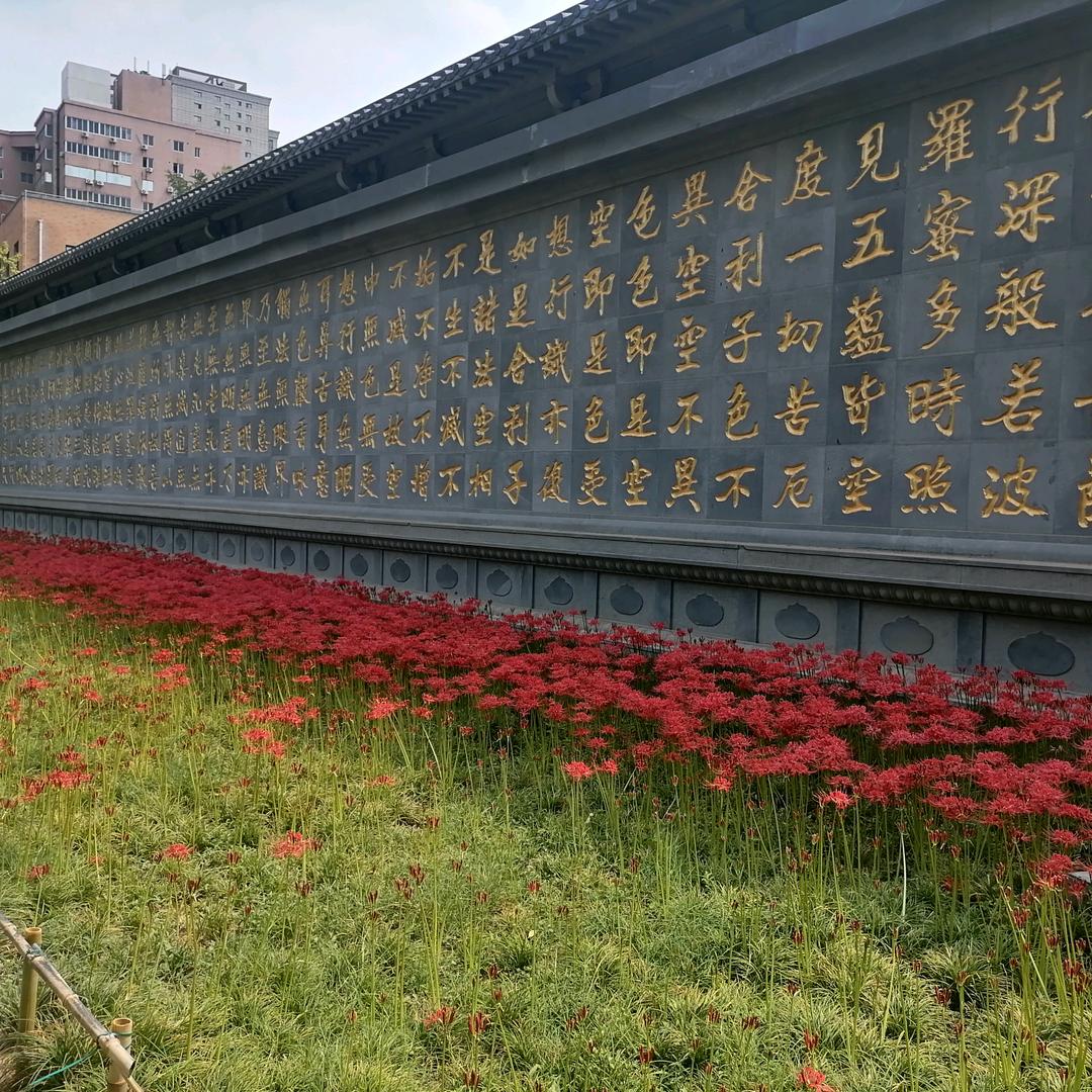 面汤！