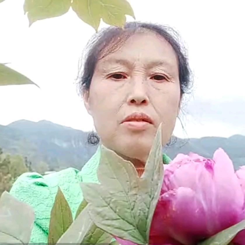 喜芝