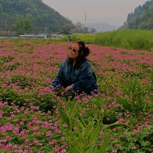 秋天的老虎🐯