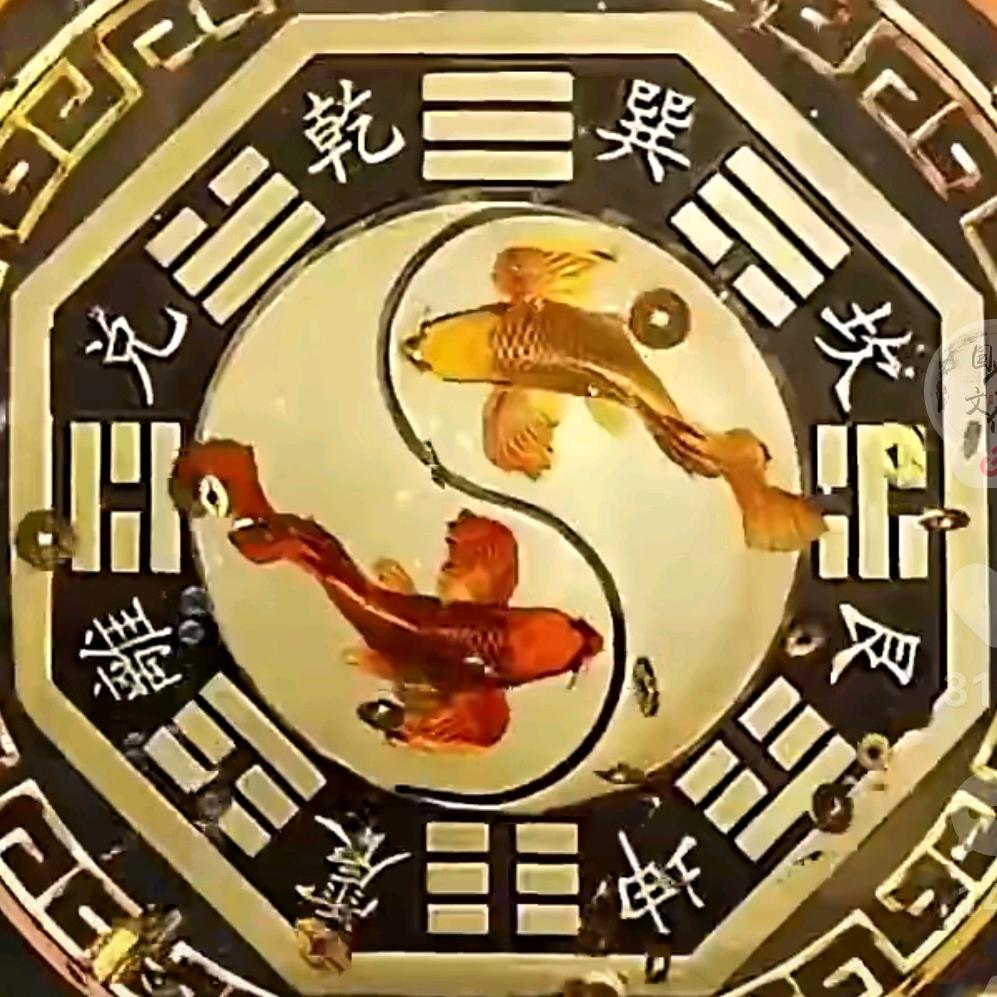 圆觉