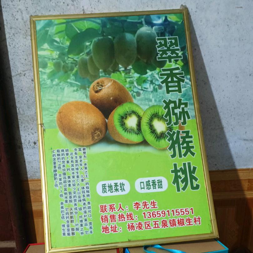 卖水果的李大哥，产地直发。