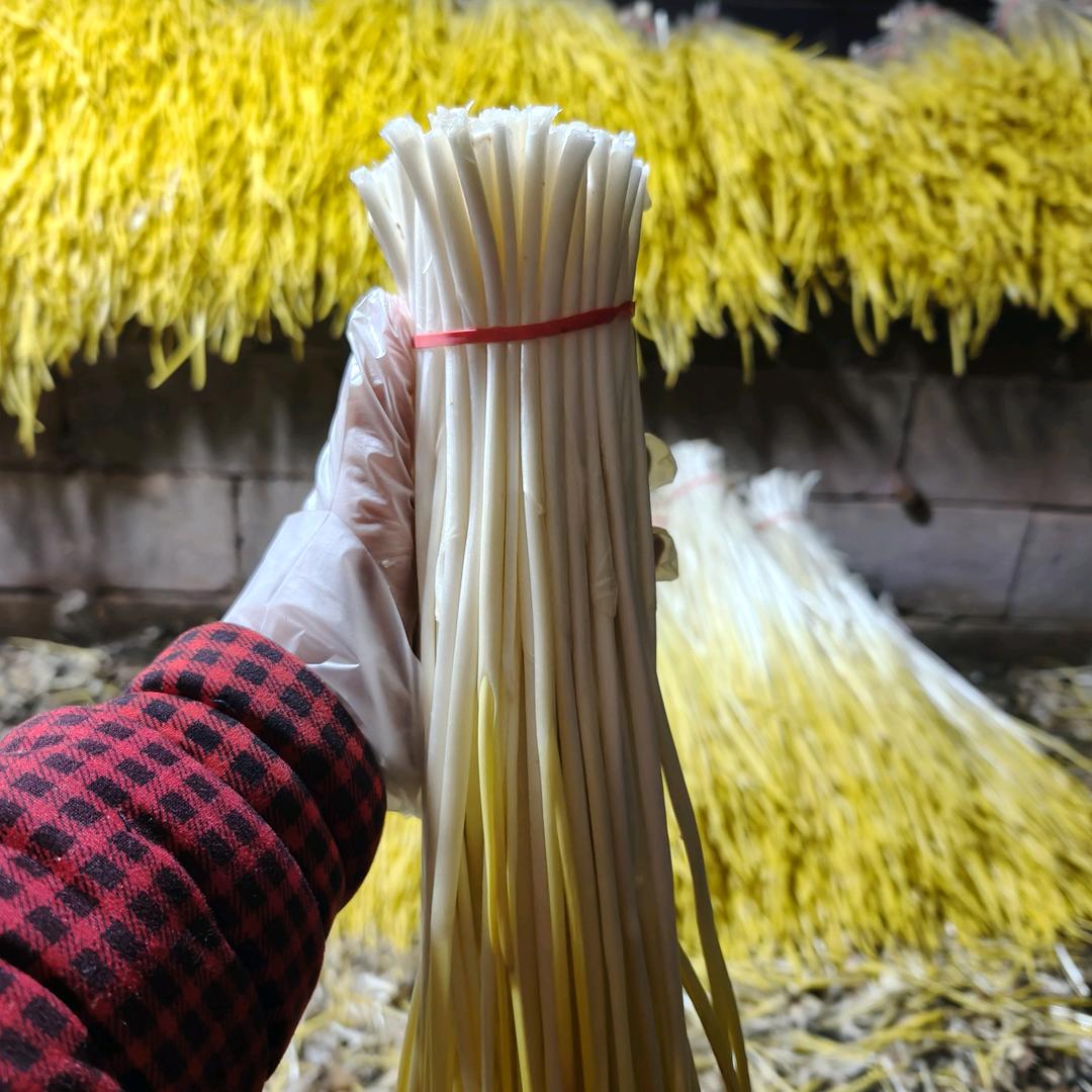 沂源蒜黄原产地陈晓《接批发客户》