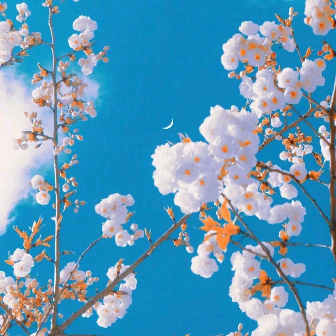园丁