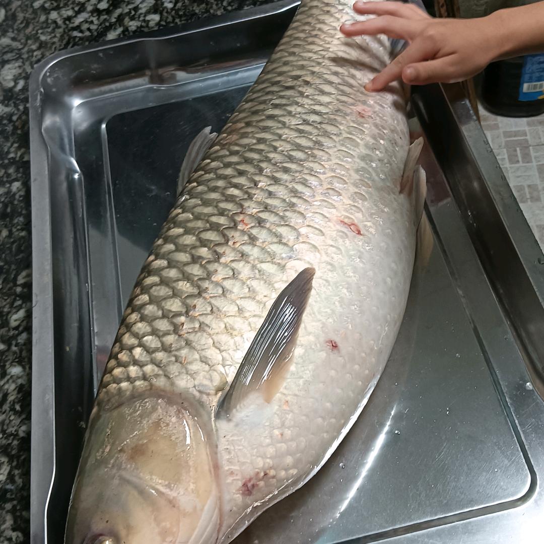 专逮莽子