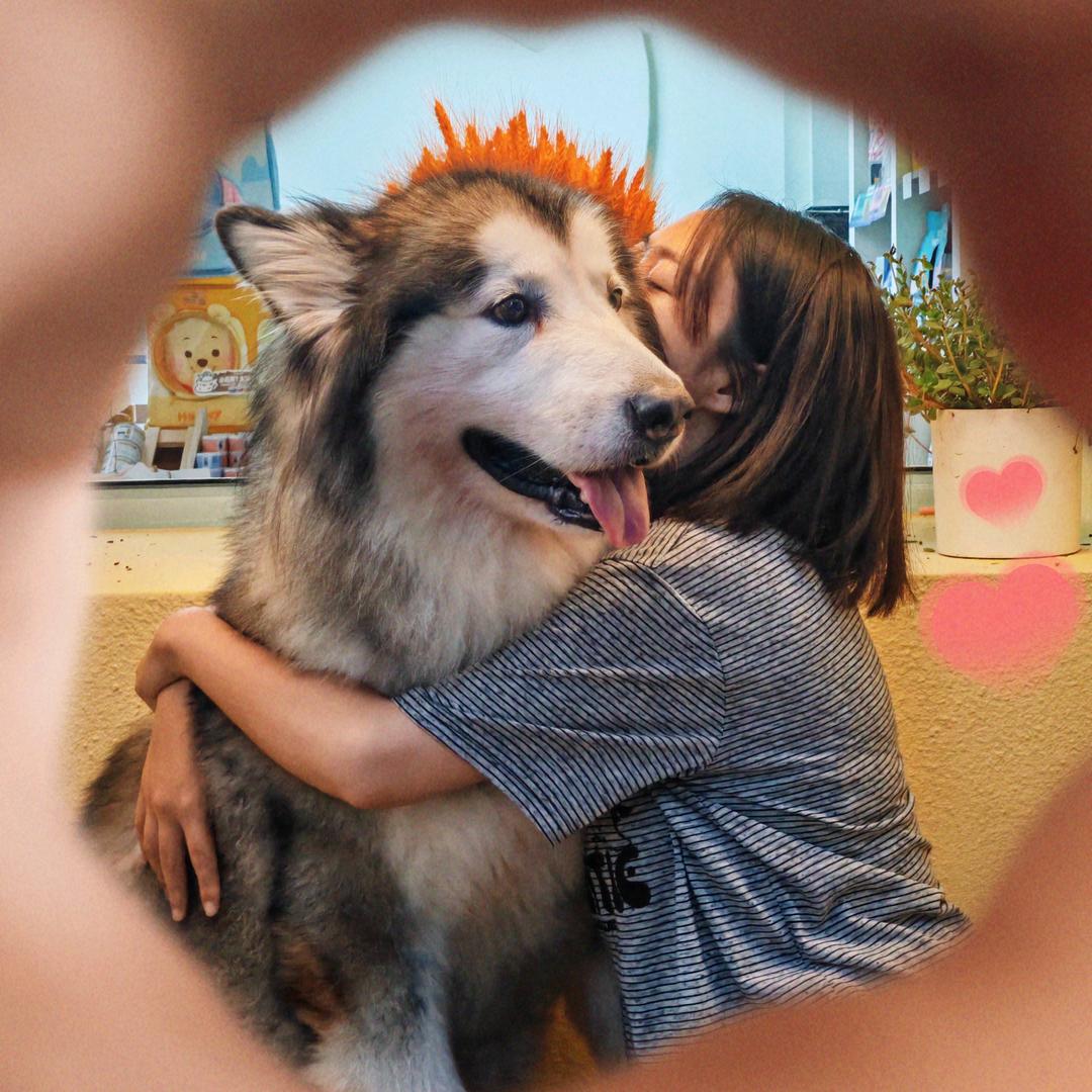 美美熙的宠物小铺