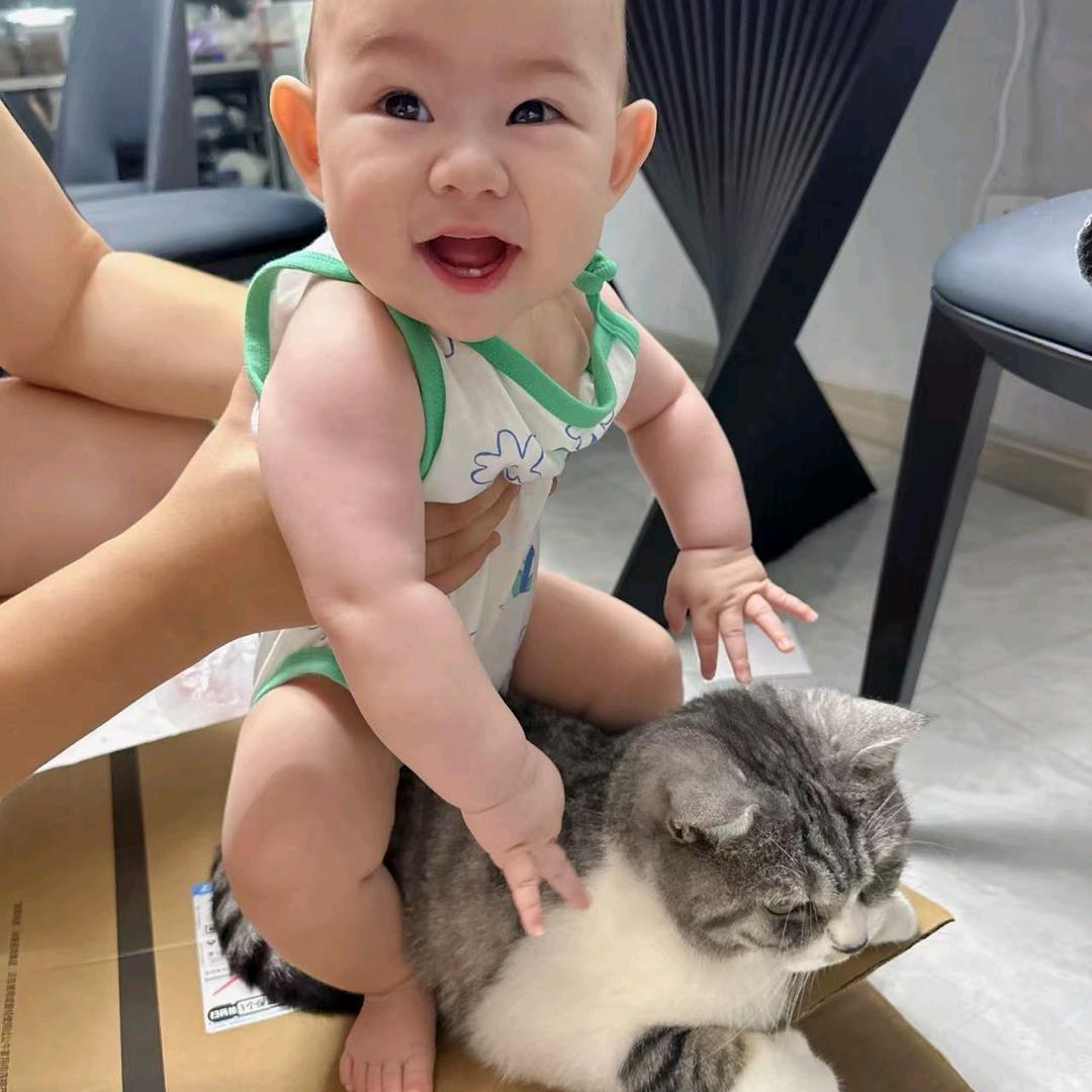 糕糕糕糕糕糕