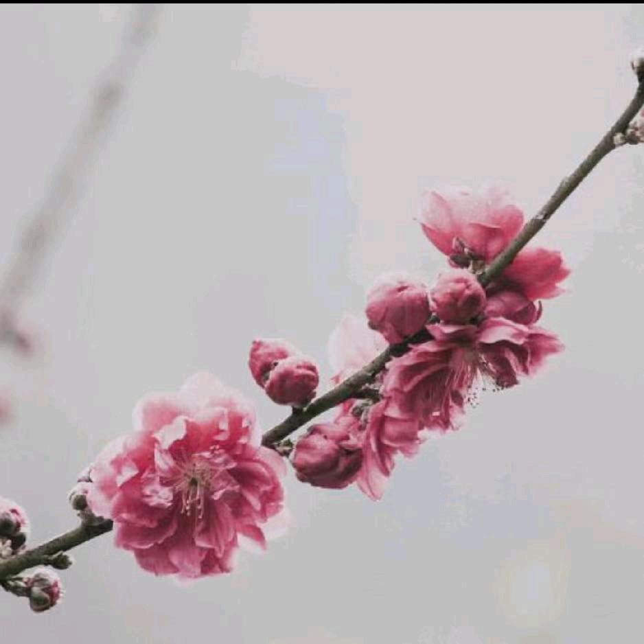 但愿岁月不负追梦人