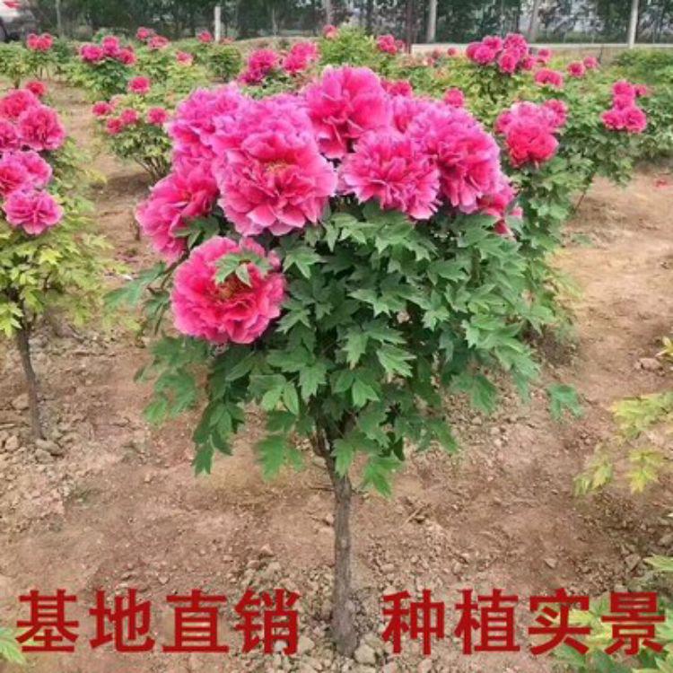 不如笑着放手