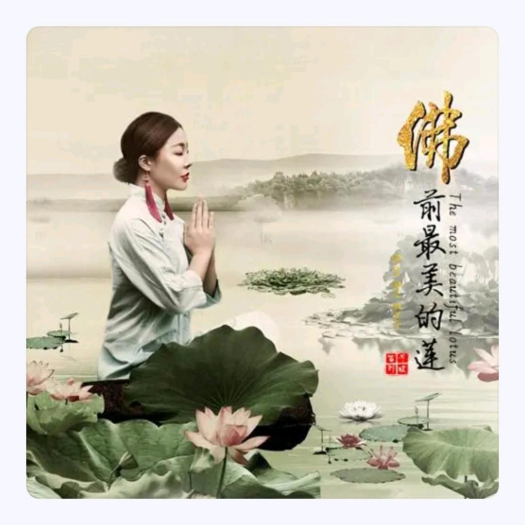 姐是限量版