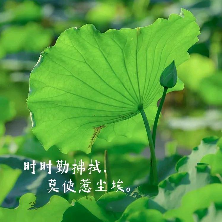 无所谓🤷🏻‍♀️🤷🏻‍♀️🤷