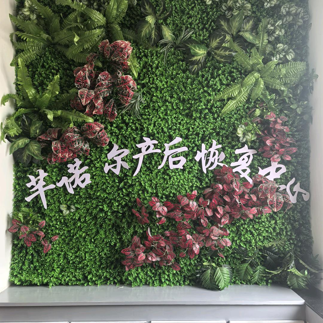 芊诺尔贝儿可康产后恢复(龙山区店)专用号