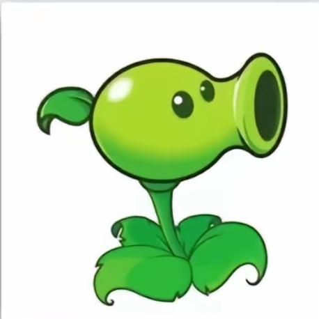 🟢🟢🟢 🟢🟢🟢🟢