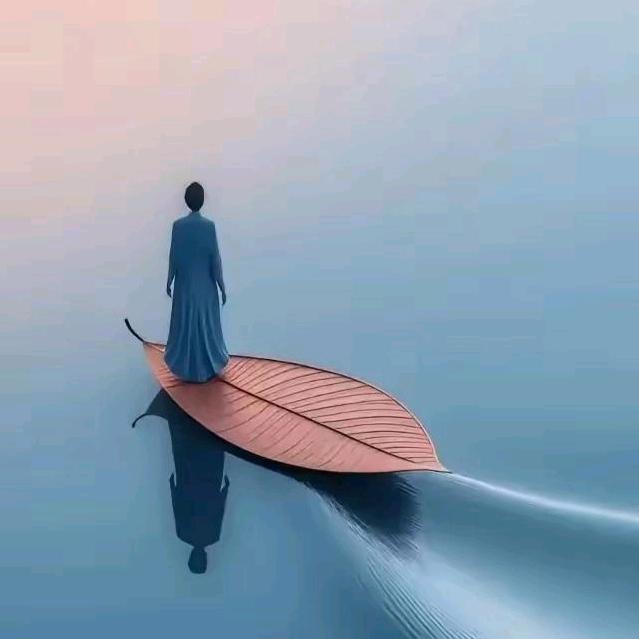 鱼多多
