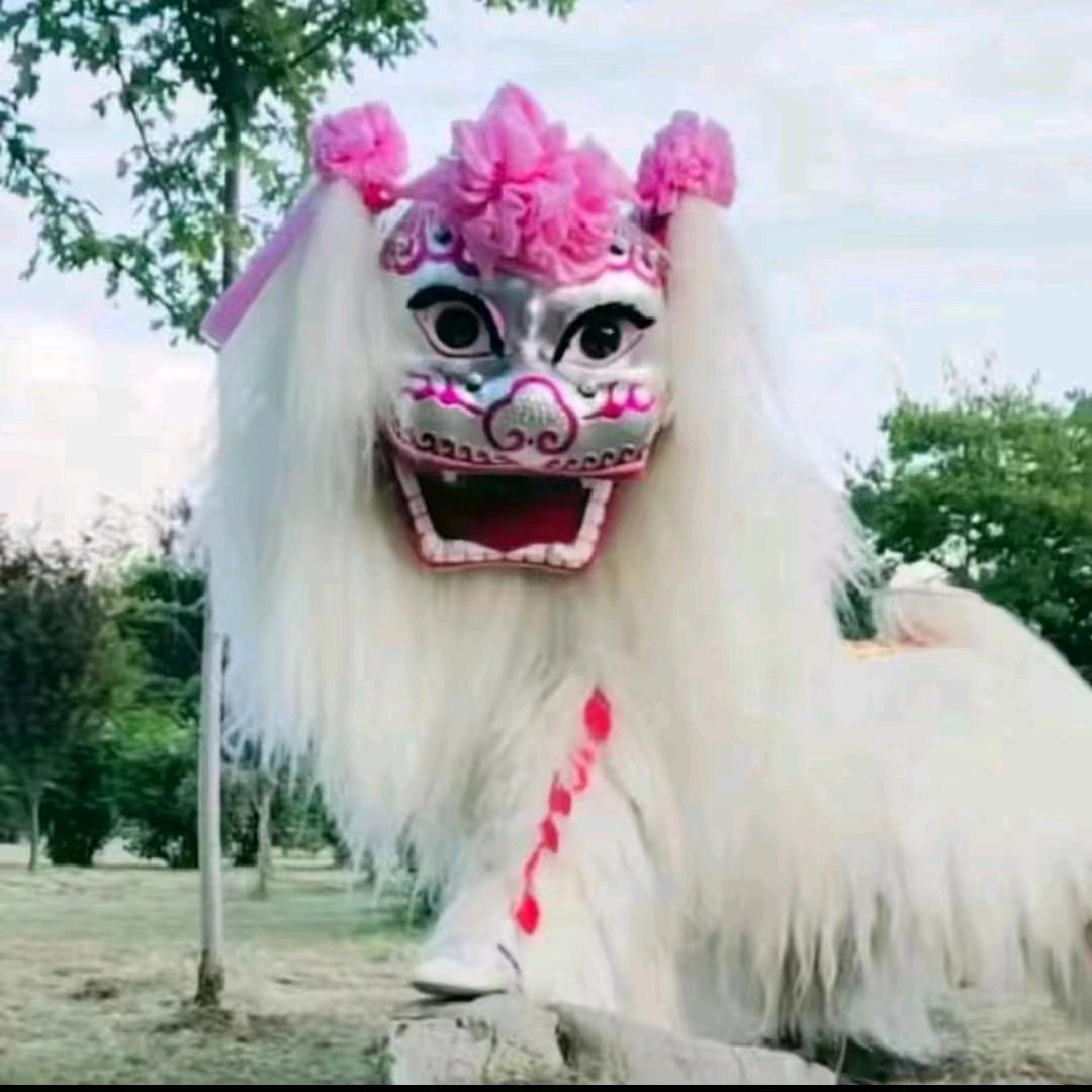 濮阳小白狮团队（全国演出）团长张刚