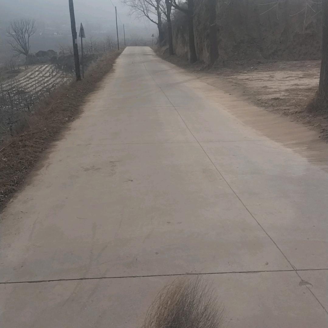 喜欢除蚁的胡小蝶头像