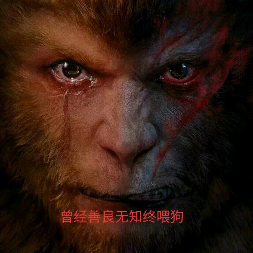 花开错过了季节