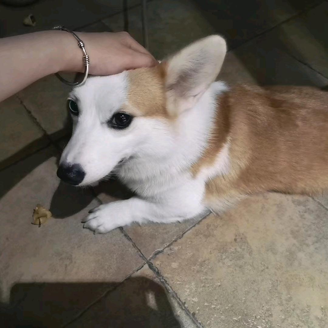 吃货钱妹