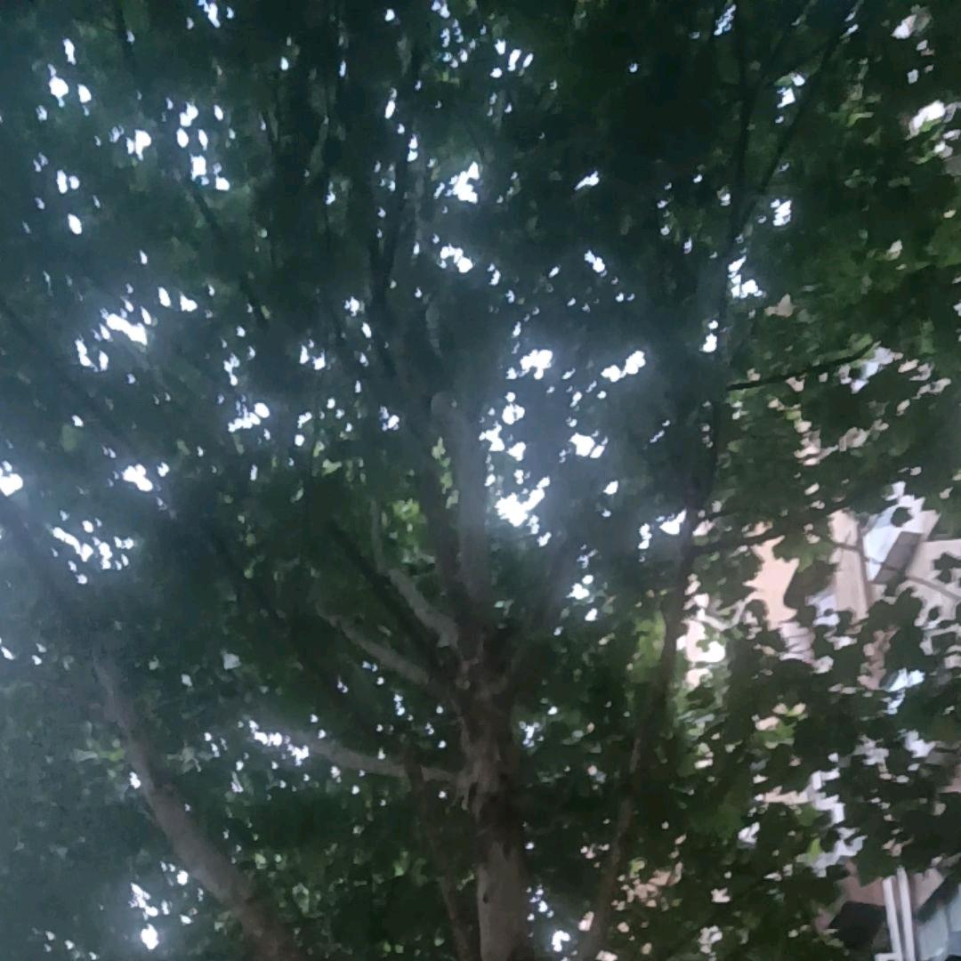 过客