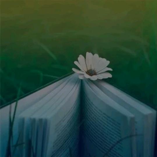 小齐试播（互粉）今天你满了