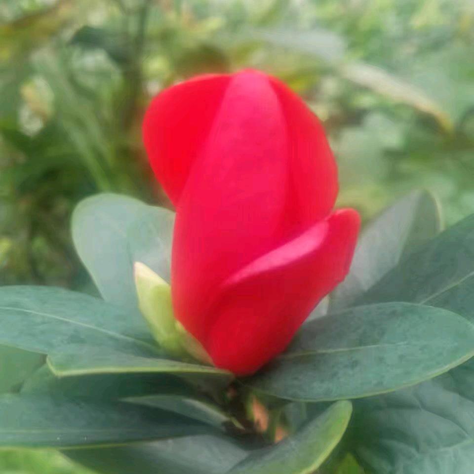 立