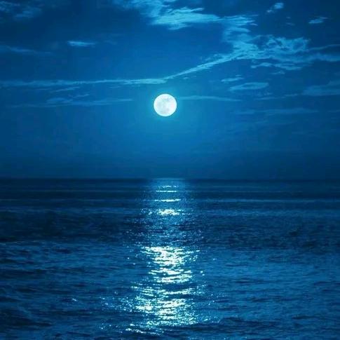 沧海月明