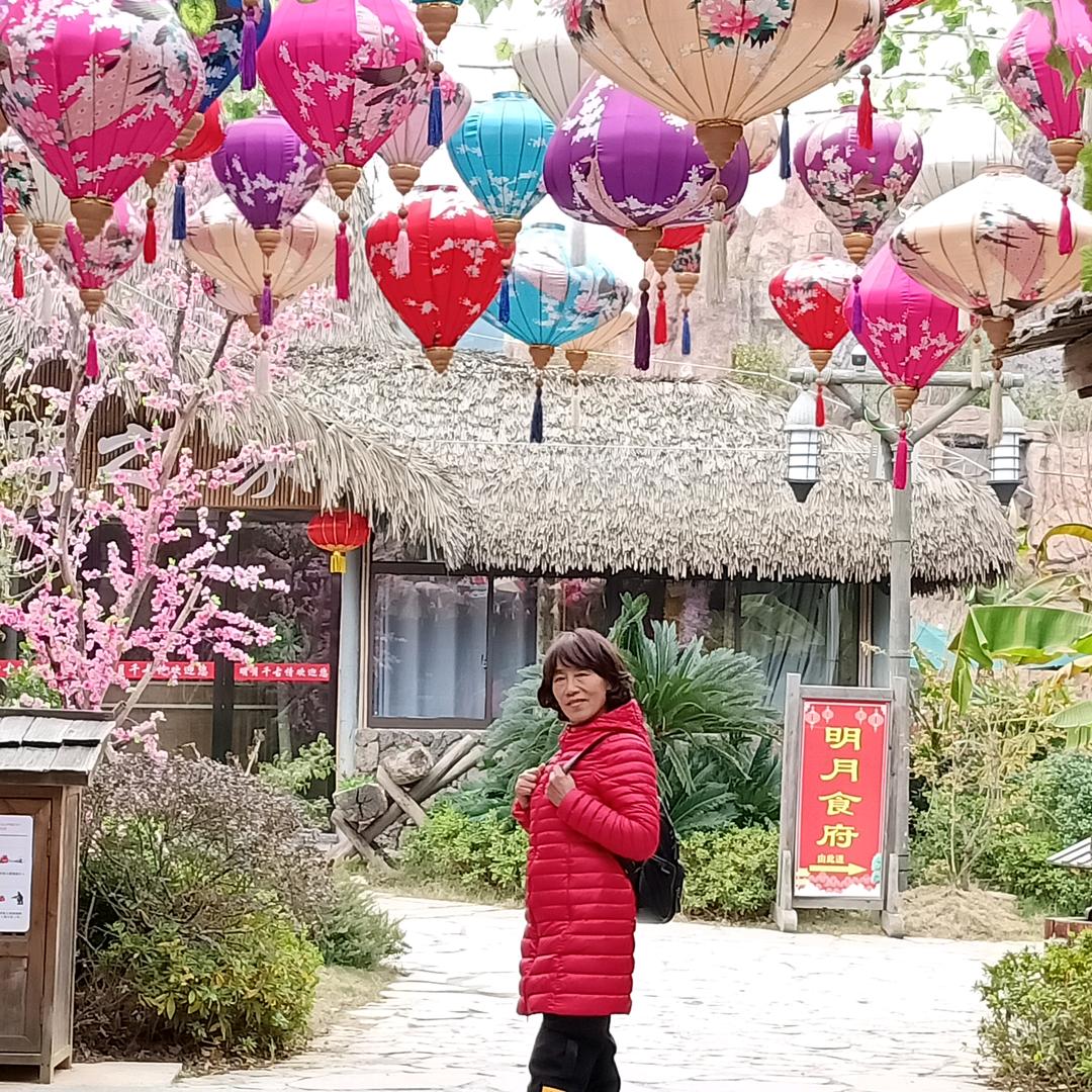 莲心好物集