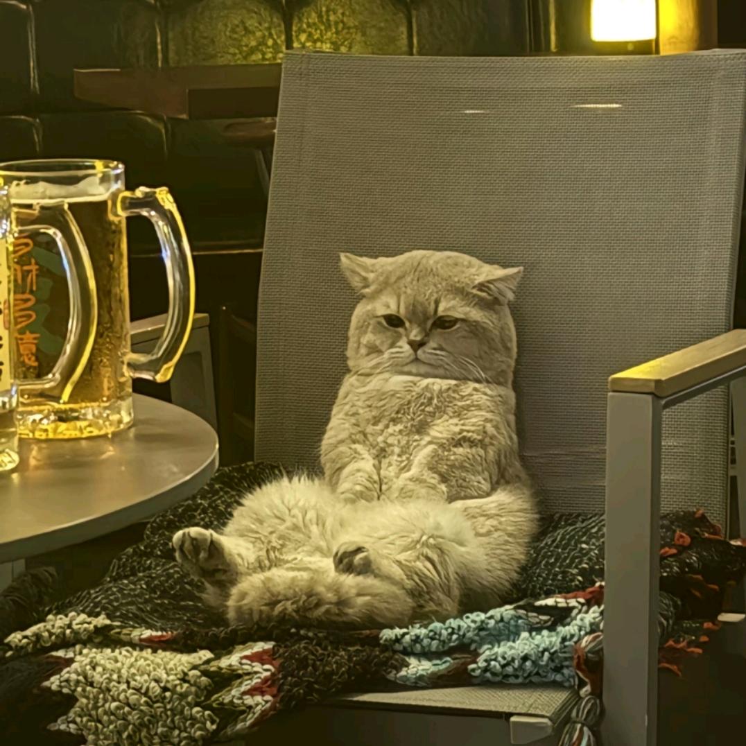 君姐滋爆鱼(龙城一号商业广场店)清尉好炜123456直播号