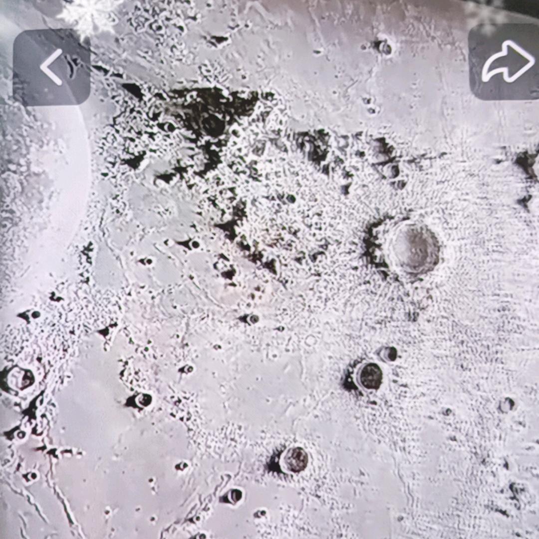 格调