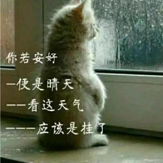 最美不过是红衣