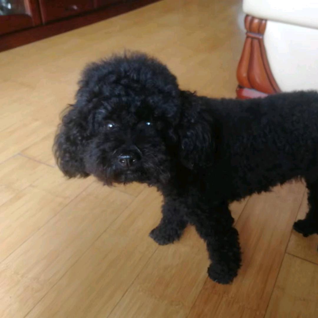 随缘：