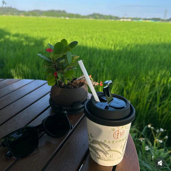 高高分享