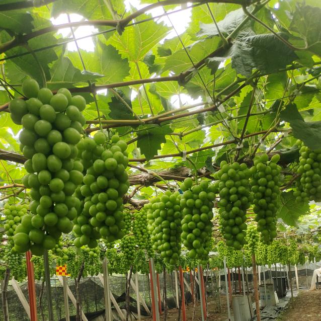 ❤️张小宝❤️